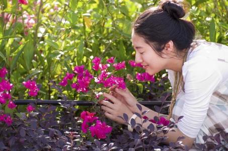“闻闻神探”小说框架说明